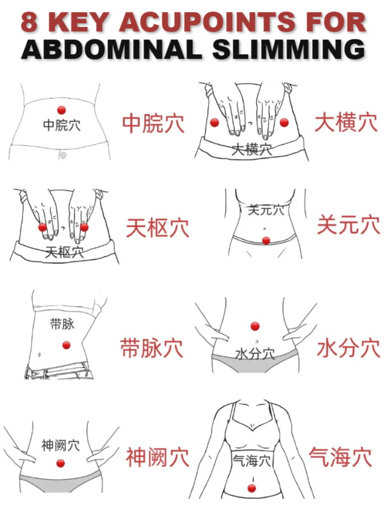 Abdominal Slimming Acupoints